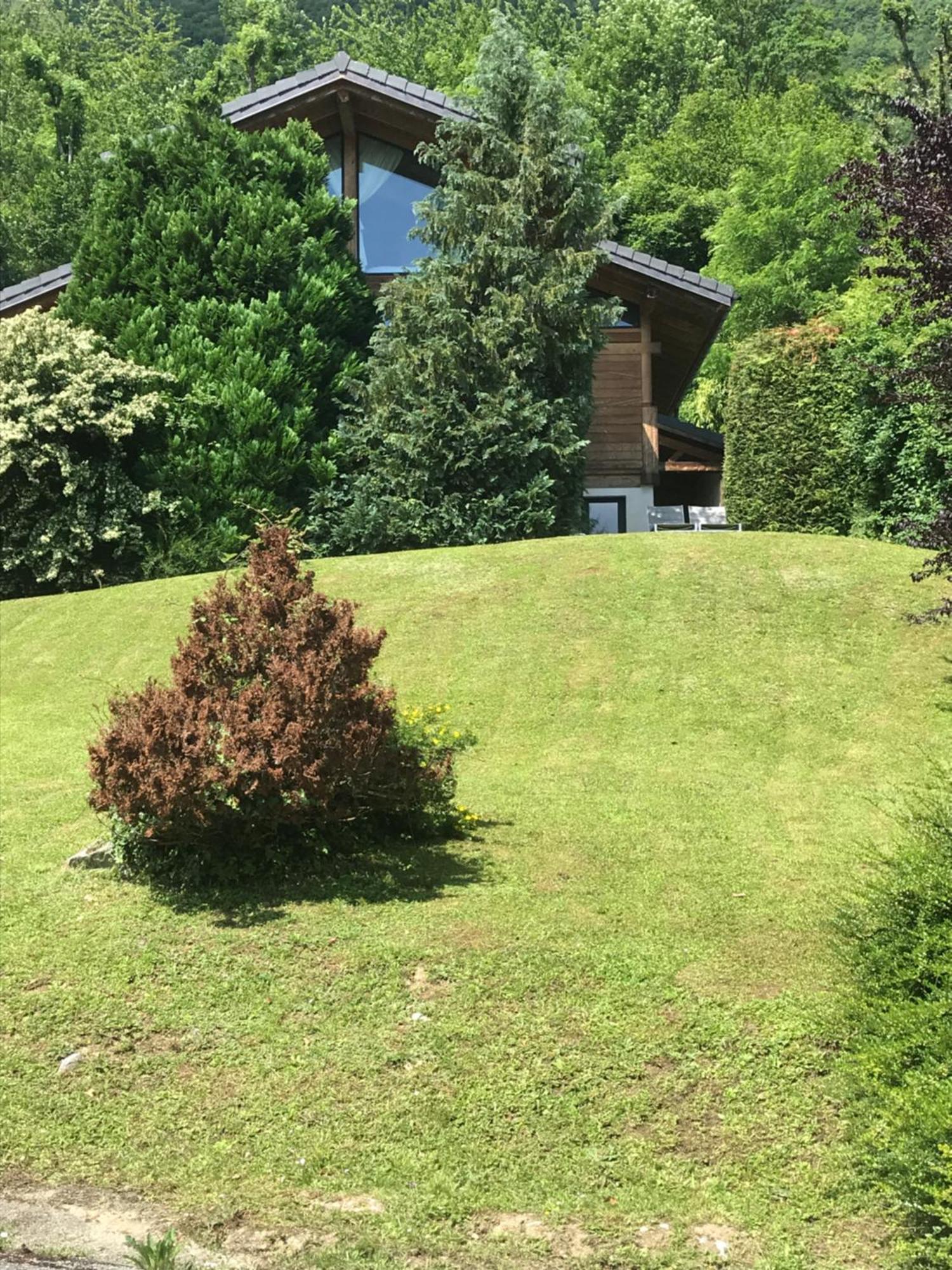 Appartement Sevrier Terrasse Et Jardin 外观 照片